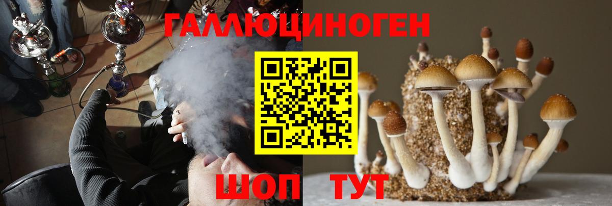 Галлюциногенные грибы MAGIC MUSHROOMS  Галлюциногенные грибы Cubensis  Сызрань  Вход с VPN 